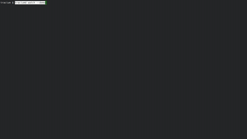 Animated Tracium CLI demo starting its live network monitor and displaying connectivity, quality-of-experience, bandwidth, security, routing, and DNS metrics